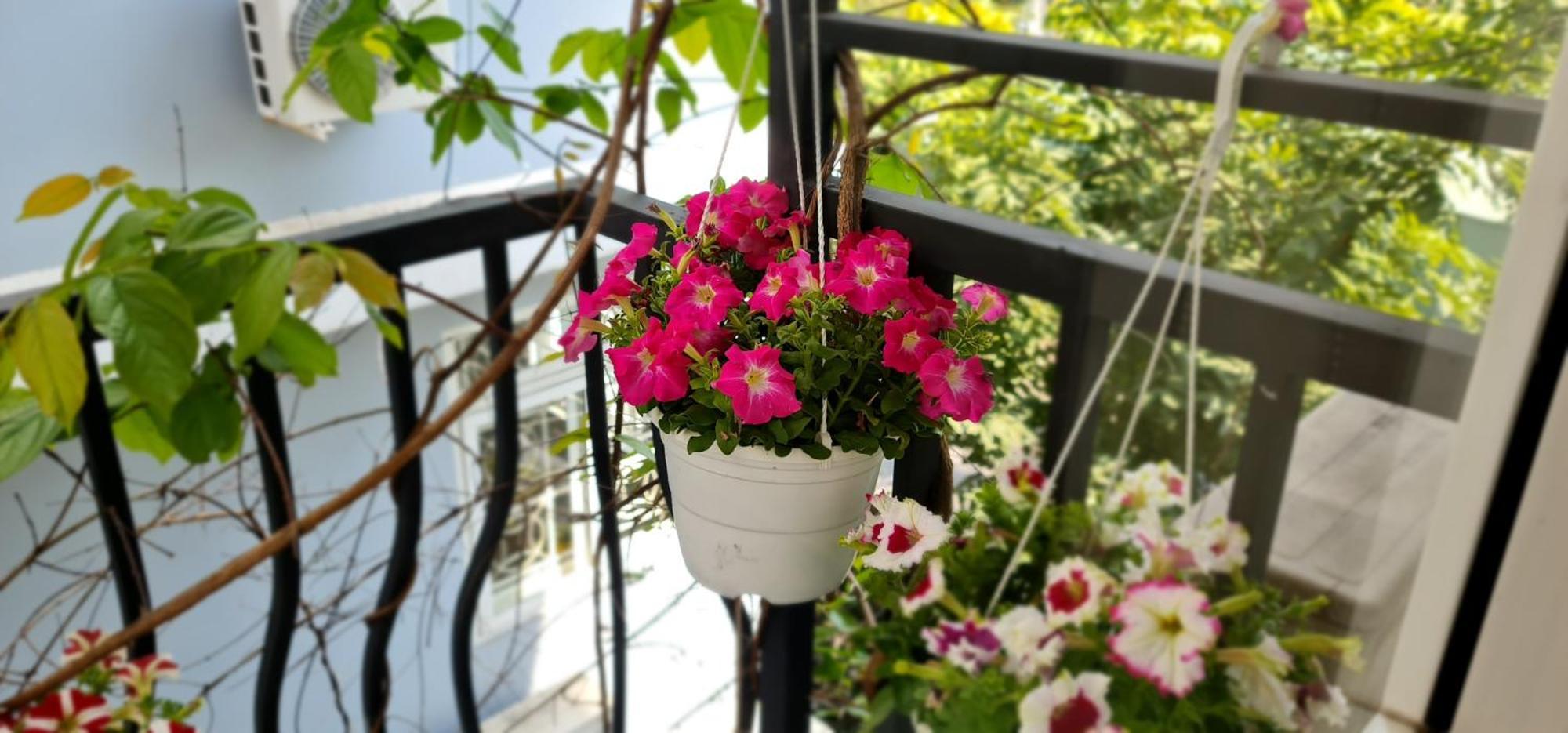 Spring Light Home Cidade de Ho Chi Minh Exterior foto